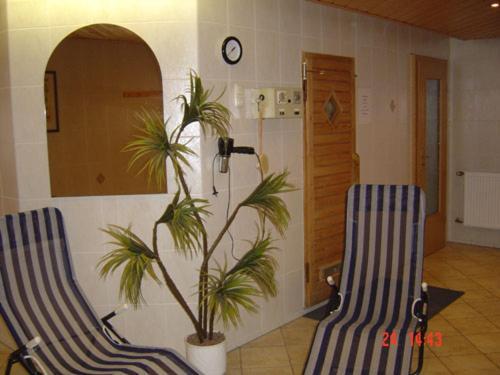 Gaststaette & Pension Alte Muehle Dorfchemnitz Екстер'єр фото